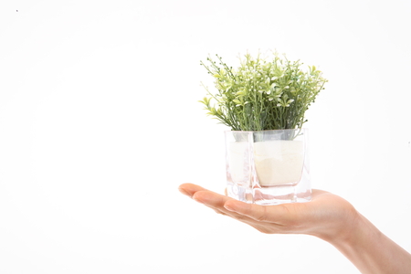 Close-up shot of holding a plant potの写真素材