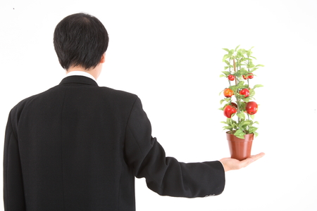 Male holding a plant potの写真素材