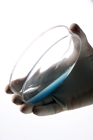 Close-up shot of hands holding petriesの写真素材