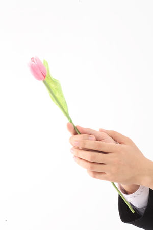 Close-up shot of a hand holding flowersの写真素材