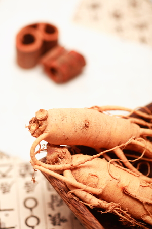 Ingredients of korean traditional medicineの写真素材