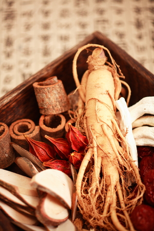 Ingredients of korean traditional medicineの写真素材