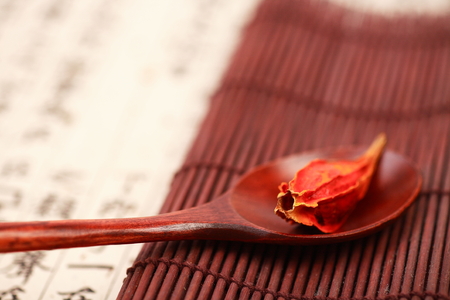 Ingredients of Korean Medicine on spoonsの写真素材