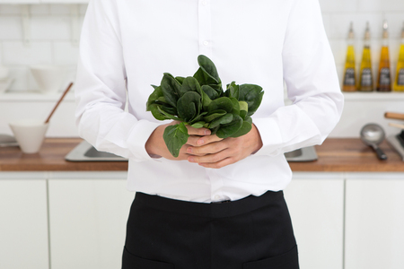 Occupation/Job/Career/Profession - Cook holding/grasping vegetables/greens in both handsの写真素材