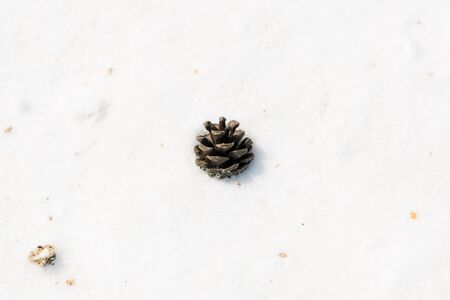 Scenery of traditional Korean ritual shrine on snowy dayの写真素材