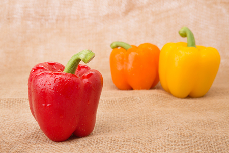 Fresh ingredient studio shot - Colorful paprikaの写真素材