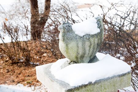 Park in snowの写真素材