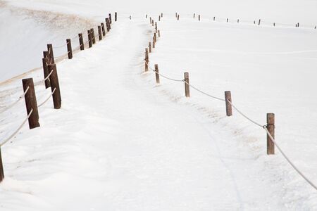 Scenery of walking tracks and fields in snowの写真素材