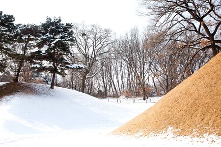 Hills in snow with trees