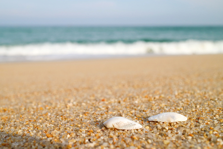 Sand beach with breaking waves