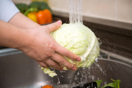 Isolated shot of cook's hands washing fresh ingredients - Cabbagesの写真素材