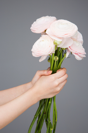 Isolated shot of hands holding flowers shoot in studio - Light pink flowersの写真素材