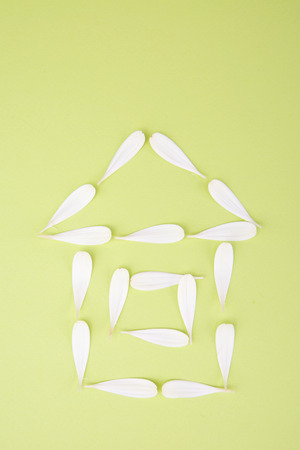 Flower pattern shot in studio/background/wallpaper - White petals drawing houseの写真素材