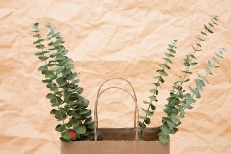 Flower pattern shot in studio/background/wallpaper - Twigs of green leaves isolatedの写真素材