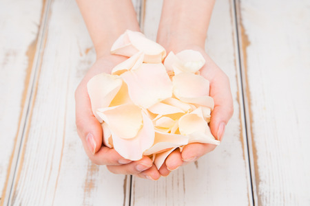 Isolated shot of hands holding flowers shoot in studio - Light pink petalsの写真素材