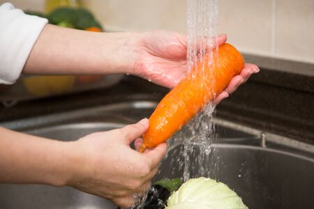 Isolated shot of cook's hands washing fresh ingredients - Carrotsの写真素材