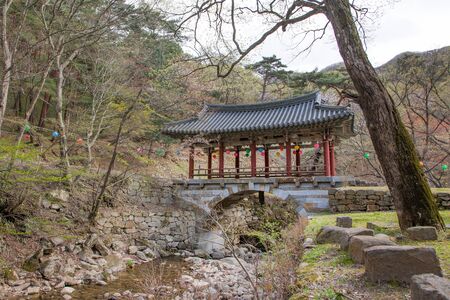 Buddhist temple in Korea - Scenery of pagoda with pond and colorful lanterns hangingの写真素材