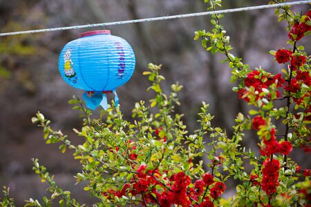 Buddhist temple in Korea - Round shape colorful lanternsの写真素材