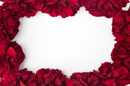 Gift ideas shot in studio - Carnation frameの写真素材