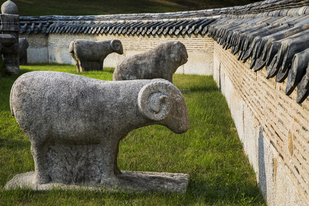 Korean landscape - Stone statue of sheepの写真素材