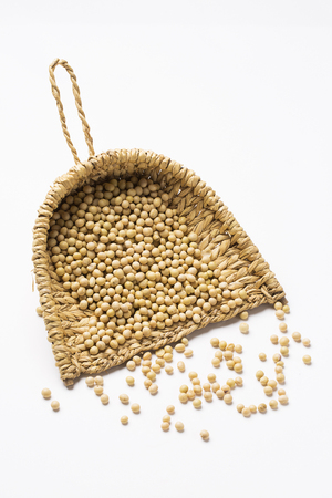 Soybeans - isolated on whiteの写真素材