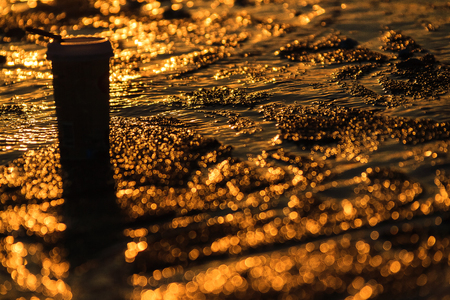 Take-out cup of coffee on wet sandy and wavy sea water reflecting sunset on surfaceの写真素材