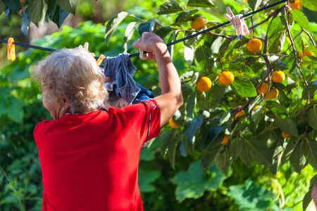 Autumn in countryside - close up shot of hands of an old lady harvestingの写真素材