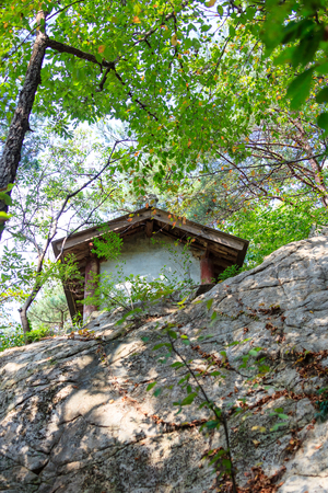 A temple in the forestの写真素材
