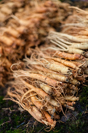 Korean traditional market - close up shot of stacked ginsengの写真素材
