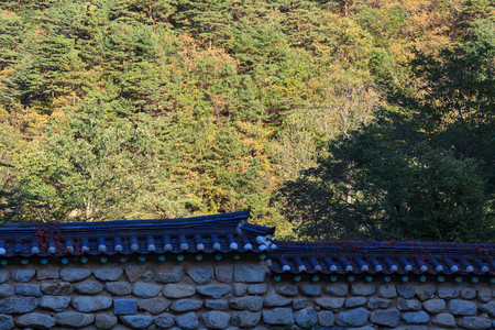 Mt. Seorak in Autumn - Tiled roof stone wall and treesの写真素材
