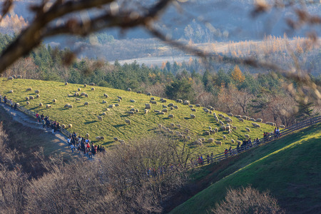 Aerial shot of fenced sheep ranch at sunset with hills in the backgroundの写真素材