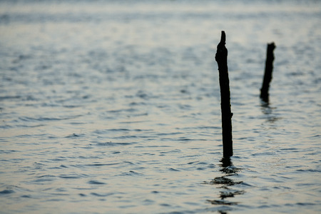 Life in island - Close up shot of wooden poles in the seaの写真素材