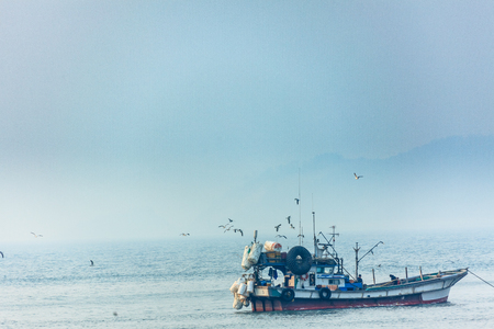 A fishboat sailing in the calm water with seagulls flying aroundの写真素材