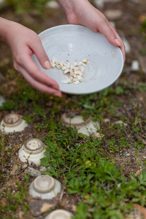 Korean folk village - Woman's hand holding a pottery plate with white dry petalsの写真素材