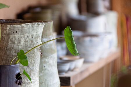Korean folk village - Pottery plant pots with grassesの写真素材