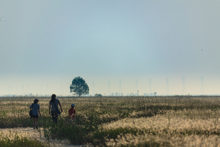 A family entering into the reed fieldの写真素材