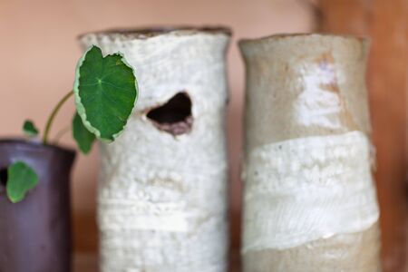 Korean folk village - Pottery plant pots with grassesの写真素材