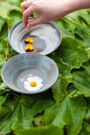 Korean folk village - Pottery plate and bowls with a flower on ivy covered rock wallの写真素材