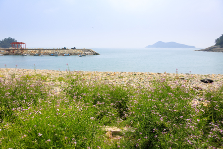 Slow city island-Scenery of gravel beachの写真素材