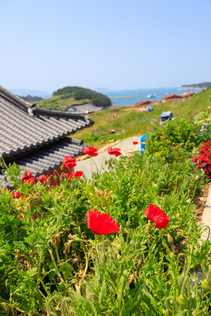 Slow city island-Family flower garden and slating roofsの写真素材