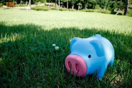 Piggy bank on the grassの写真素材