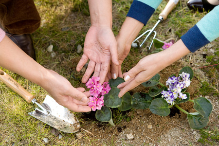 Mid-aged married Asian couple spending time together as gardeningの写真素材