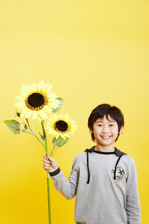 Asian boy looking happy with sunflowerの写真素材