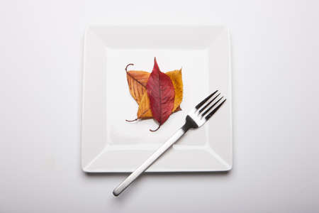 Colorful leaves and a fork on a plate - isolated on whiteの写真素材