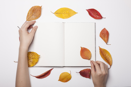 Vintage notebook and colorful leaves - isolated on whiteの写真素材