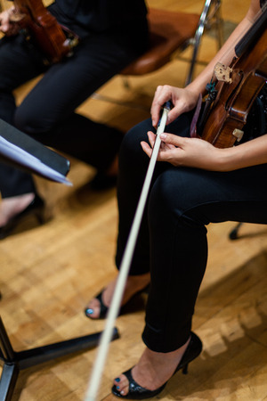 Violinist holding the violinの写真素材