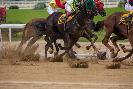 Horse raceの写真素材