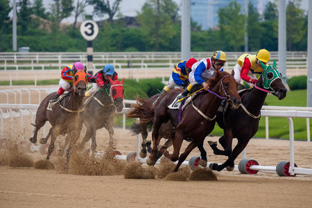 Horse raceの写真素材