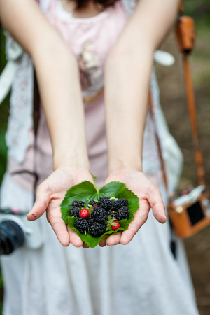 Fresh mulberries on a girl's handsの写真素材