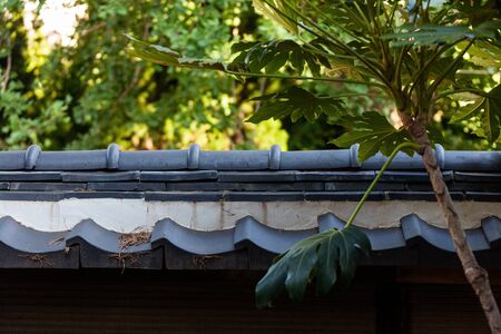Old Japanese style house in Gunsan,South Koreaの写真素材